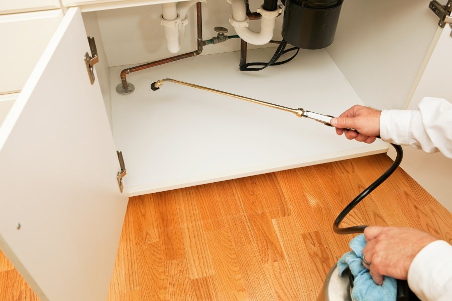 Action Pest Control in Weymouth MA