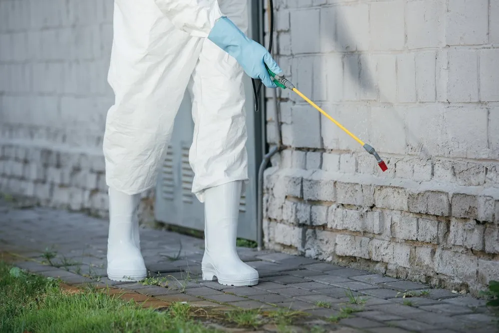 Termite Exterminator