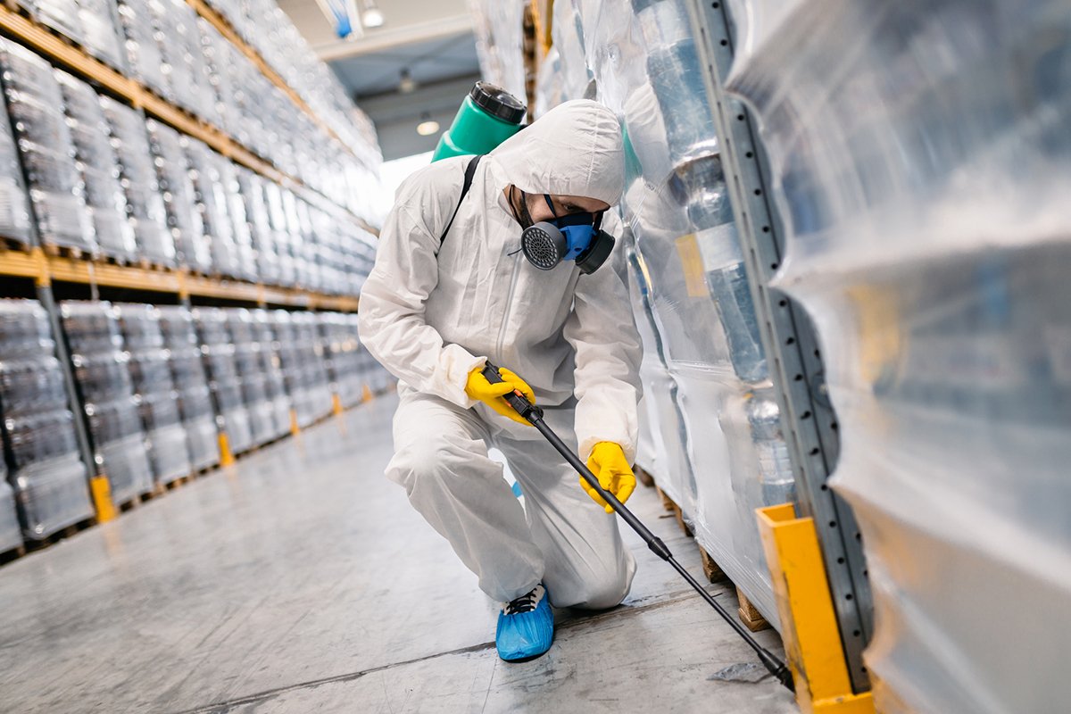 Pest Control in Hingham, MA