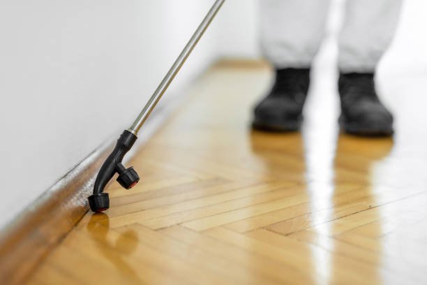 Comprehensive Pest Inspections
