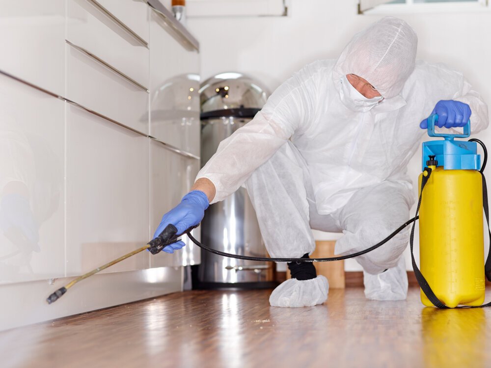 Exterminator in Hingham, MA