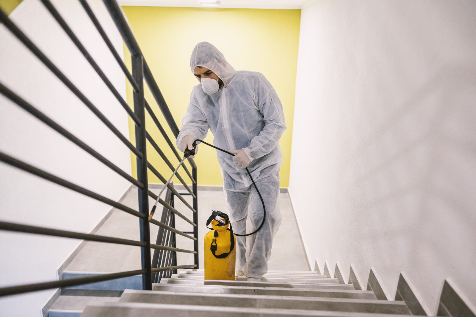 Expert pest control services