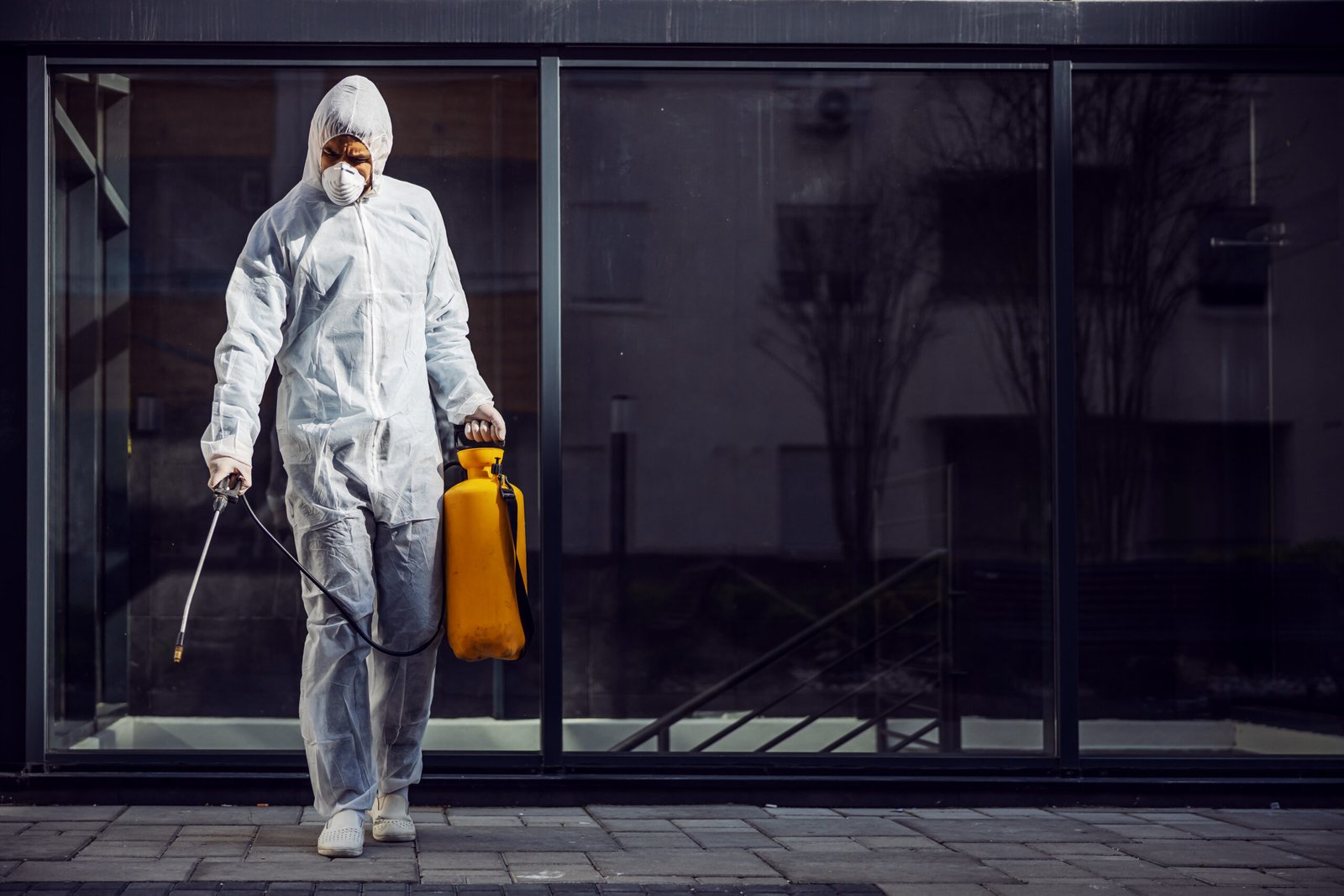 long-term strategy for preventing pest infestations