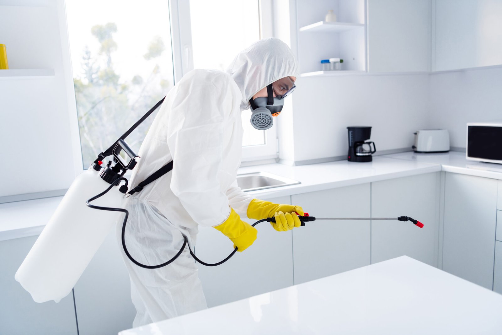 integrated pest management (IPM)