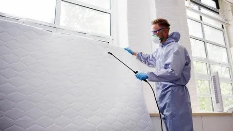 Bed Bug Treatment In Weymouth MA