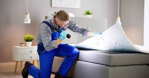 Bed Bug Treatment In Weymouth MA