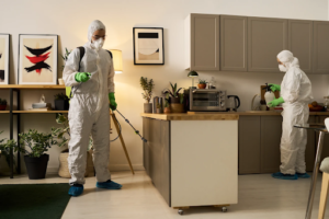 diy vs professional pest control